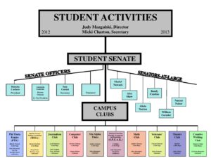 Community College Organizational Chart