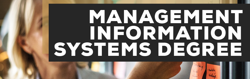 Management Information Systems Degree