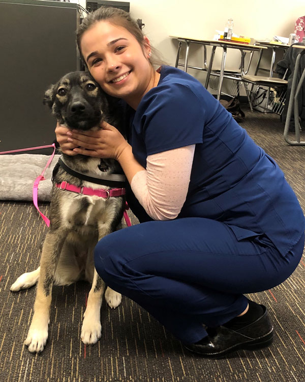 Female Vet Assistant in blue scrubs squats down to hug grey and black dog