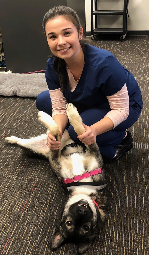 smiling female vet assistant plays with dog who's lying on back and smiling at camera