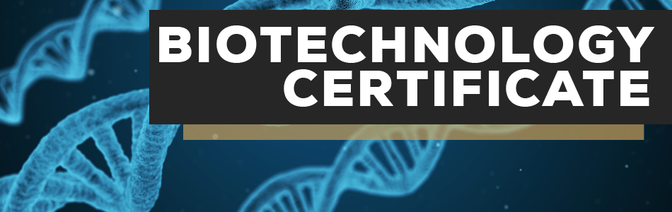 Biotechnology Certificate