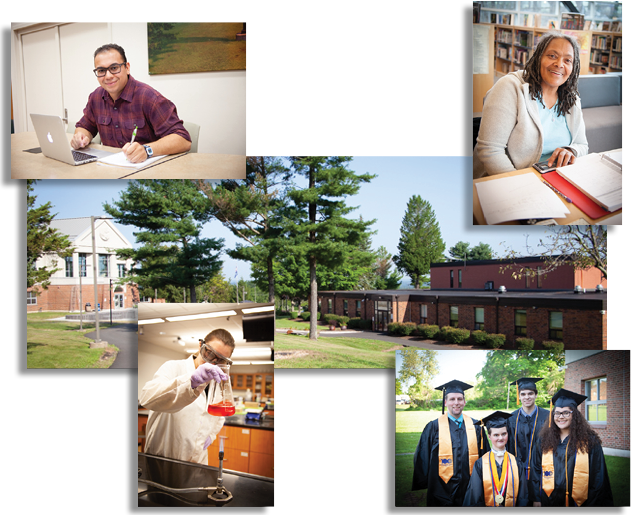 collage of images of students