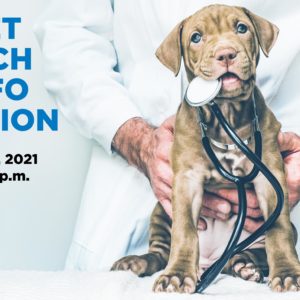 Puppy with stethoscope in mouth