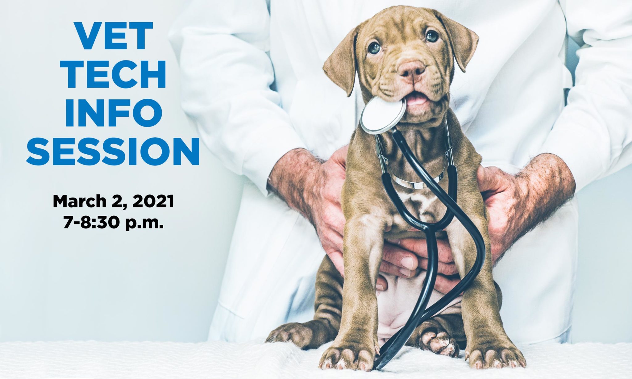 Vet Tech Info Session (virtual) 