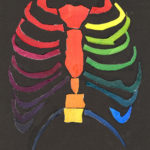 color theory rib bones