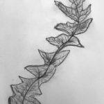 black and white pencil drawing vine