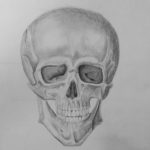 black and white pencil drawing skull