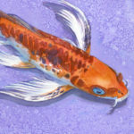 catfish illustration
