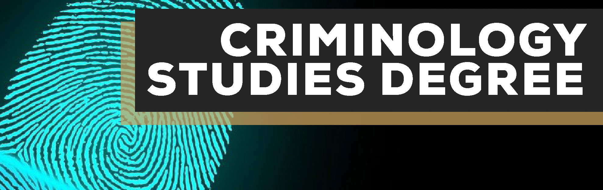 criminology-studies-degree-middlesex-community-college-ct