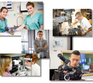 collage of students